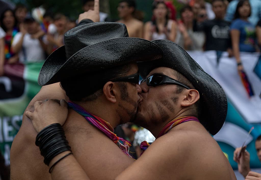 El 17 de mayo de 1990 la Organización Mundial de la Salud (OMS) dejó de considerar la homosexualidad una enfermedad.