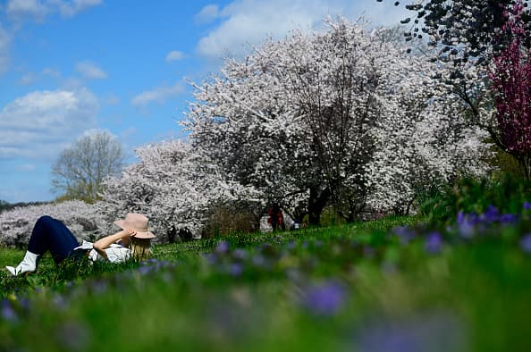 Cuando visites el Fairmount Park no dudes en acostarte sobre el césped.