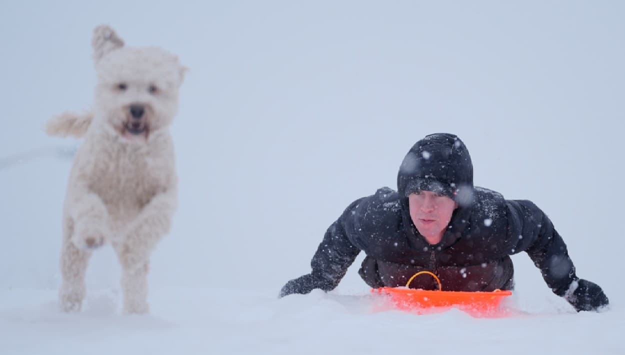La cara divertida de la tormenta invernal Gianna a su paso por Charlotte