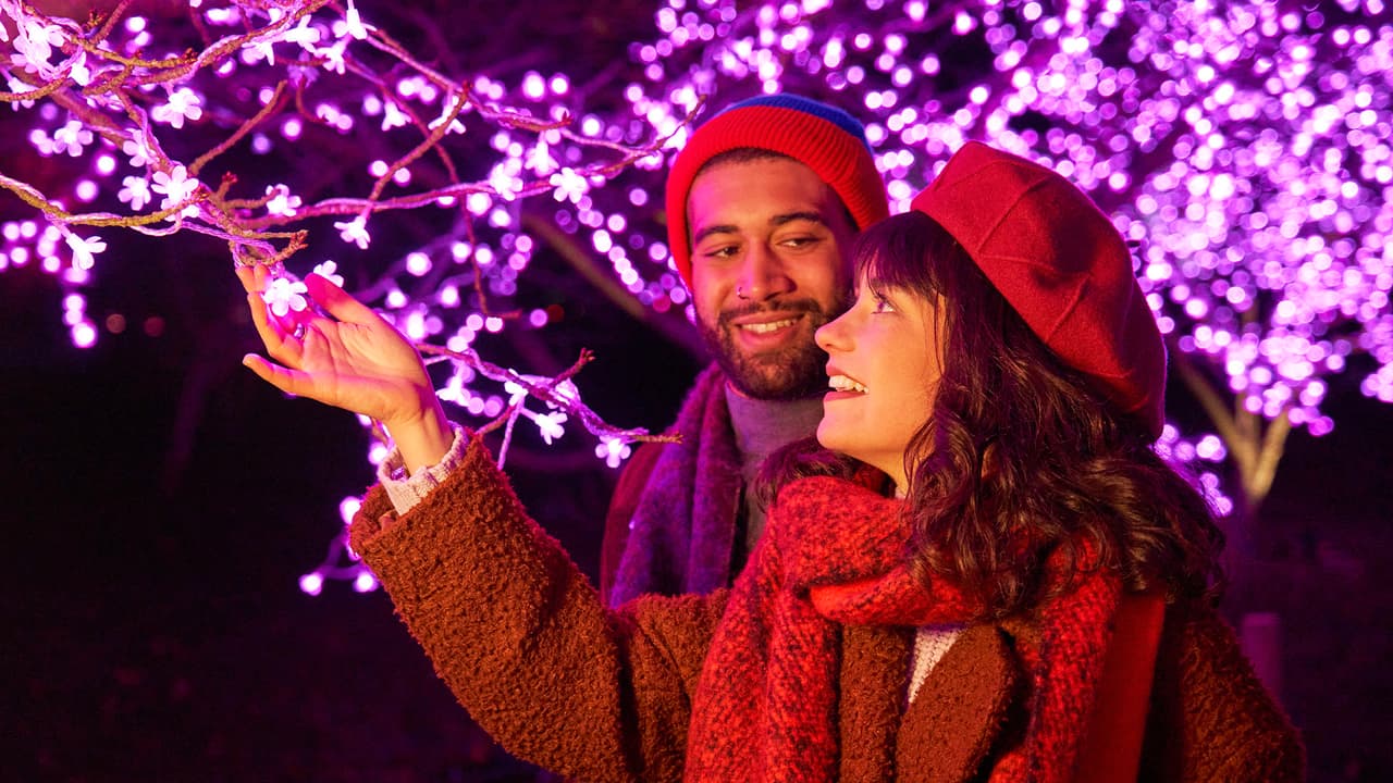 El show se llama "Lightscape" y ya fue presentado en ciudades como Londres y Chicago. Este año llega a
<a href="https://www.univision.com/temas/houston">Houston</a> para la alegría de todos.