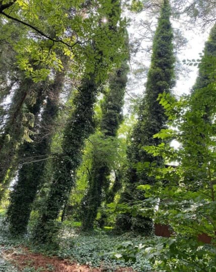 La conductora de Despierta América quedó tan sorprendida por la belleza del paisaje que tomó muchas instantáneas de recuerdo y las subió a su cuenta personal de Instagram.