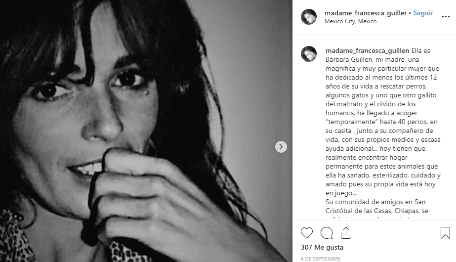 En una publicación que realizó Francesca Guillén en Instagram el pasado 6 de septiembre, dijo que su madre se había dedicado los últimos 12 años de su vida a rescatar perros y gatos, dándoles refugio en su casa en el estado de Chiapas, al sur de México.