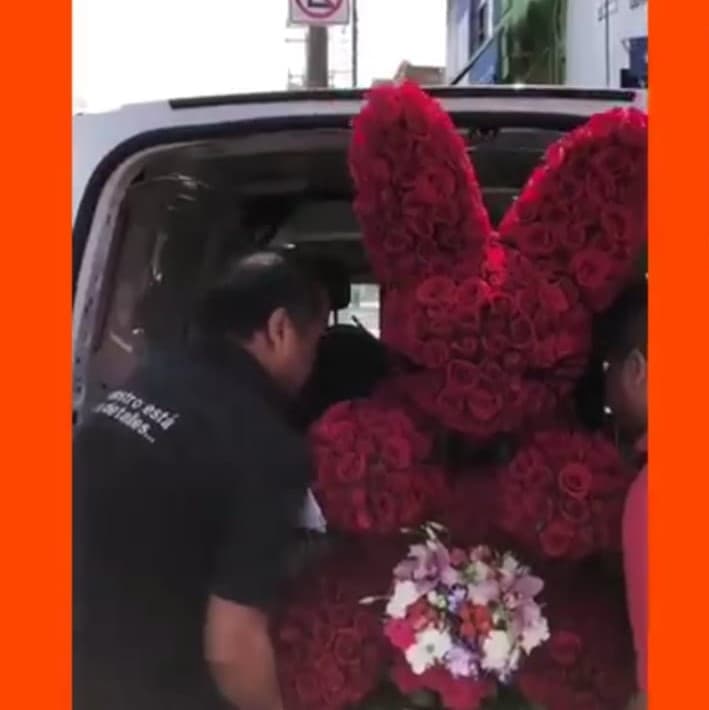<b>En el bautizo de la pequeña María Fernanda, </b>'Canelo' le hizo llegar un conejo con 1,000 rosas, el cual adornó
<b> </b>el rancho en Guadalajara donde se llevó a cabo el festejo.