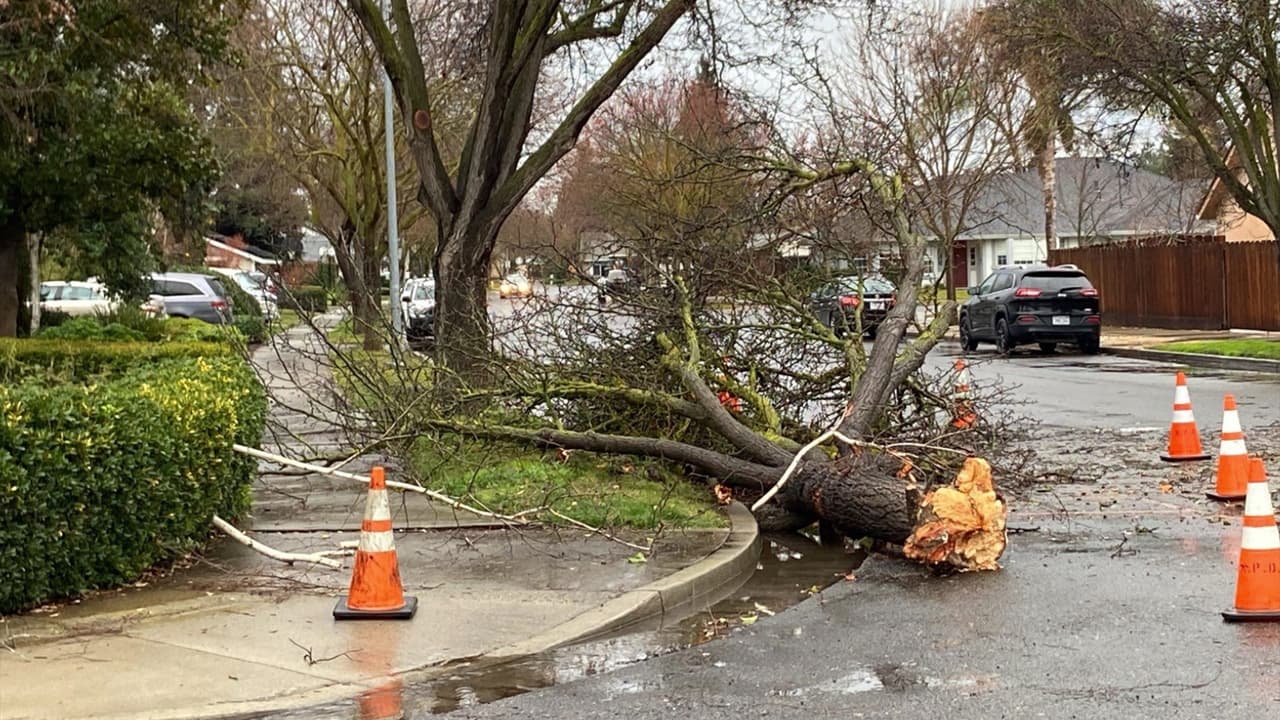 Además, una serie de árboles caídos cerraron los carriles hacia el sur de M Street entre Lehigh Drive y Buena Vista y
<b> los equipos trabajaron esta mañana para despejarlos.</b>
