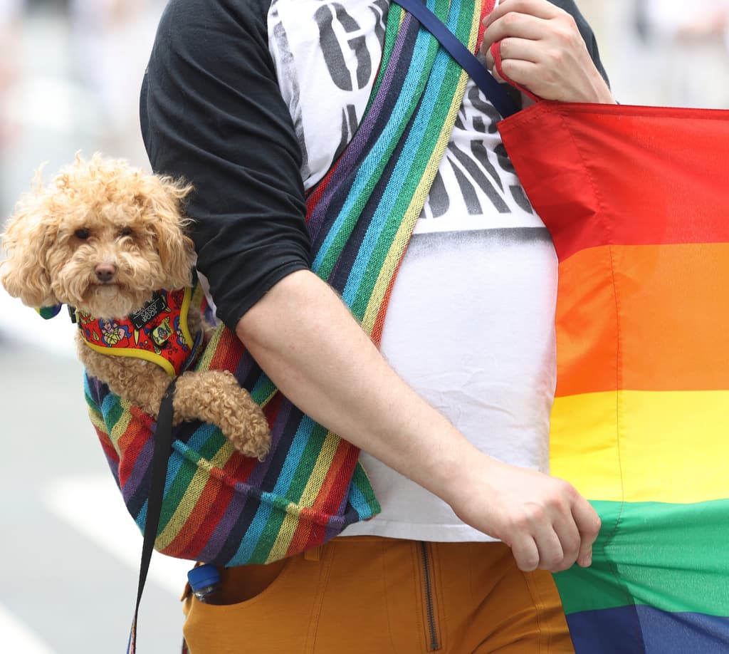 El Desfile de Orgullo LGBTQIA+ de Nueva York 
<b>no es el más antiguo de Estados Unidos, pero sí el más grande</b>. Son miles los participantes y algunos llevan a sus mascotas, como parte de un día de celebración.
