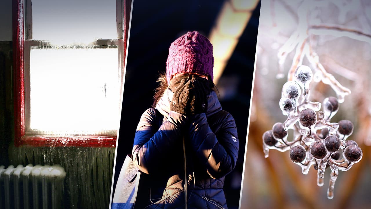 Estos son los números de emergencia en Houston que necesitas guardar ante la llegada del frente frío ártico