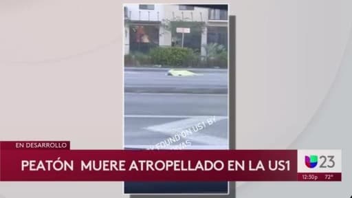 Un hombre murió atropellado en la US-1