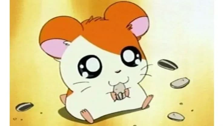Hamtaro