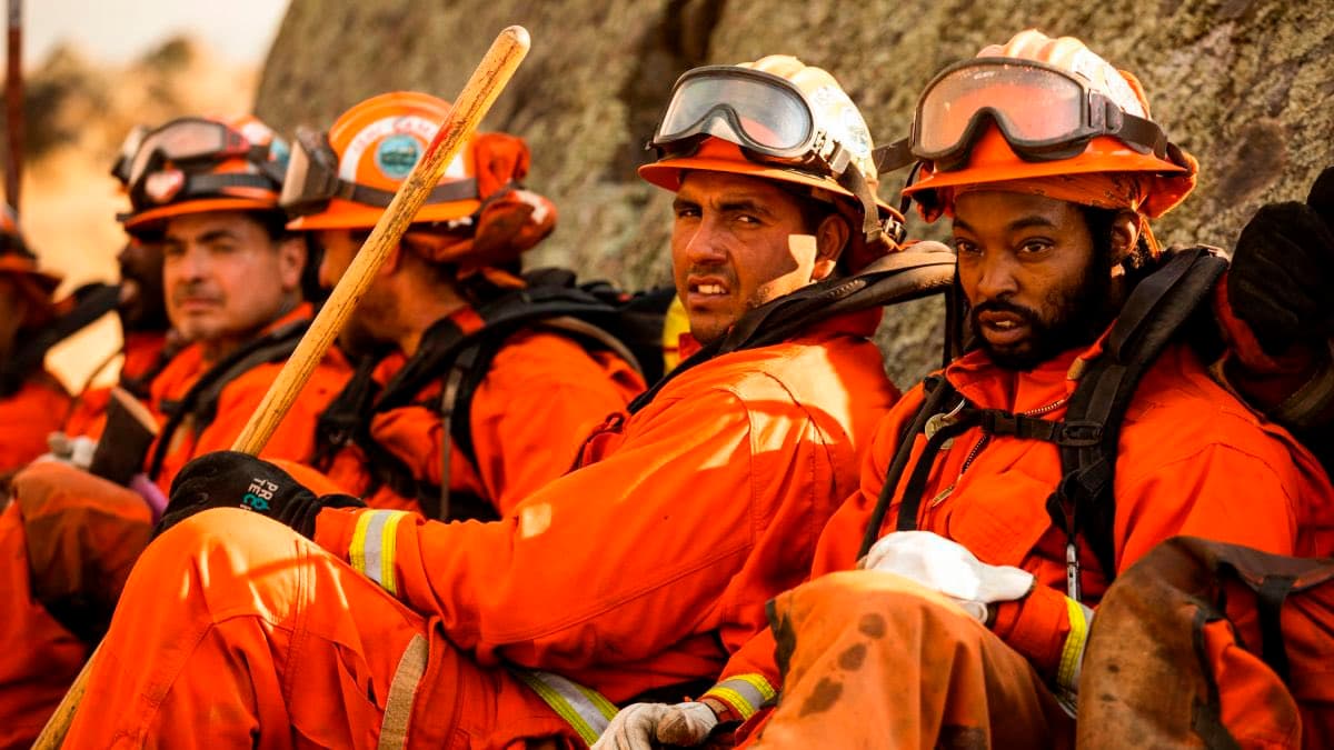 Las agencias del orden que batallan contra los incendios cuentan con el apoyo de grupos de reos que se incorporan a las tareas que requieren los incendios. California cuenta con 250 brigadas bomberiles y 2,200 carro bombas.