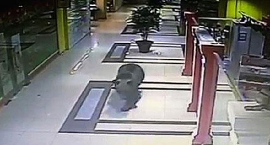 Videos de impacto - 16 de octubre