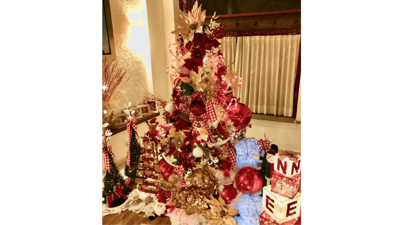 La sala de la venezolana se llenó de luces para recibir a Santa Claus.