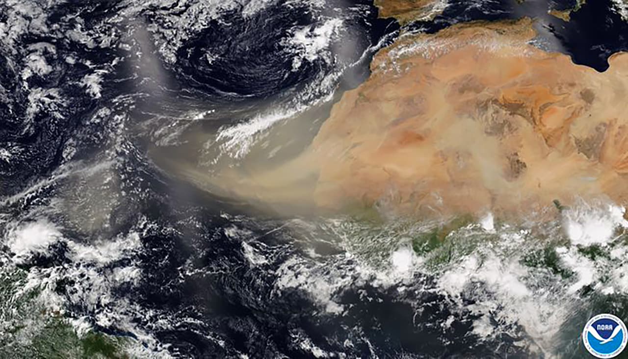 La nube de polvo, que comenzó a viajar desde el norte de África hacia el oeste a mediados de junio, está siendo monitoreada por NASA, la Administración Nacional Oceánica y Atmosférica y el Centro Nacional de Huracanes. Cada año los vientos levantan alrededor de 800 toneladas de polvo del Sáhara, la mayor fuente de partículas de polvo en el aire en todo el planeta.
<br>
<br>
<br>