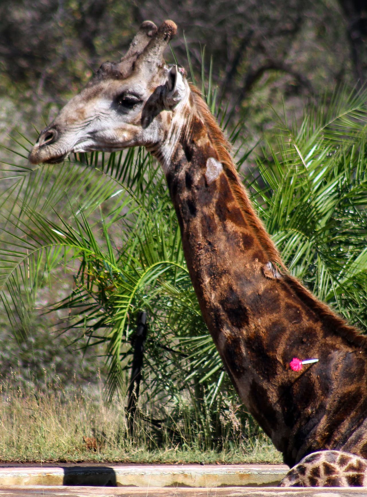 Fueron los más largos nueve minutos de la historia.