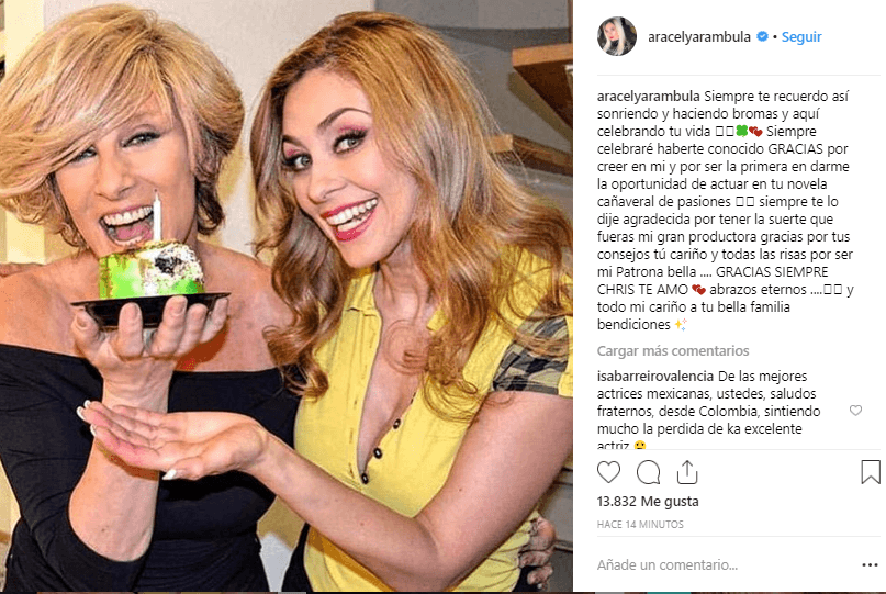 <b><a href="https://www.univision.com/temas/aracely-arambula" target="_blank">Aracely Arámbula</a>, </b>quien compartió créditos con Christian Bach en 'La Patrona', agradeció que la argentina fue quien le dio su primera oportunidad, en la telenovela 'Cañaveral de Pasiones'.