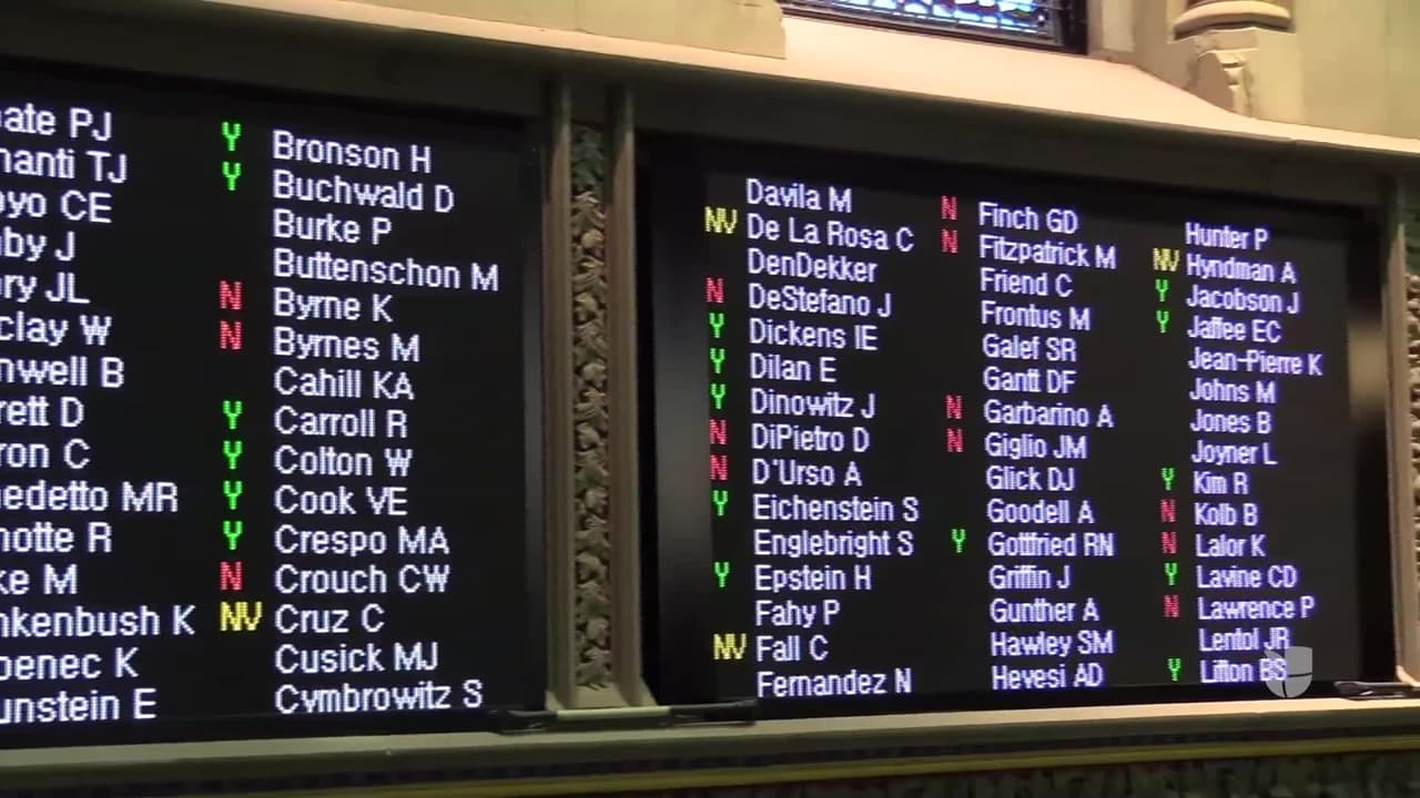 Aplauden la aprobación de las licencias de conducir para inmigrantes en Nueva York  