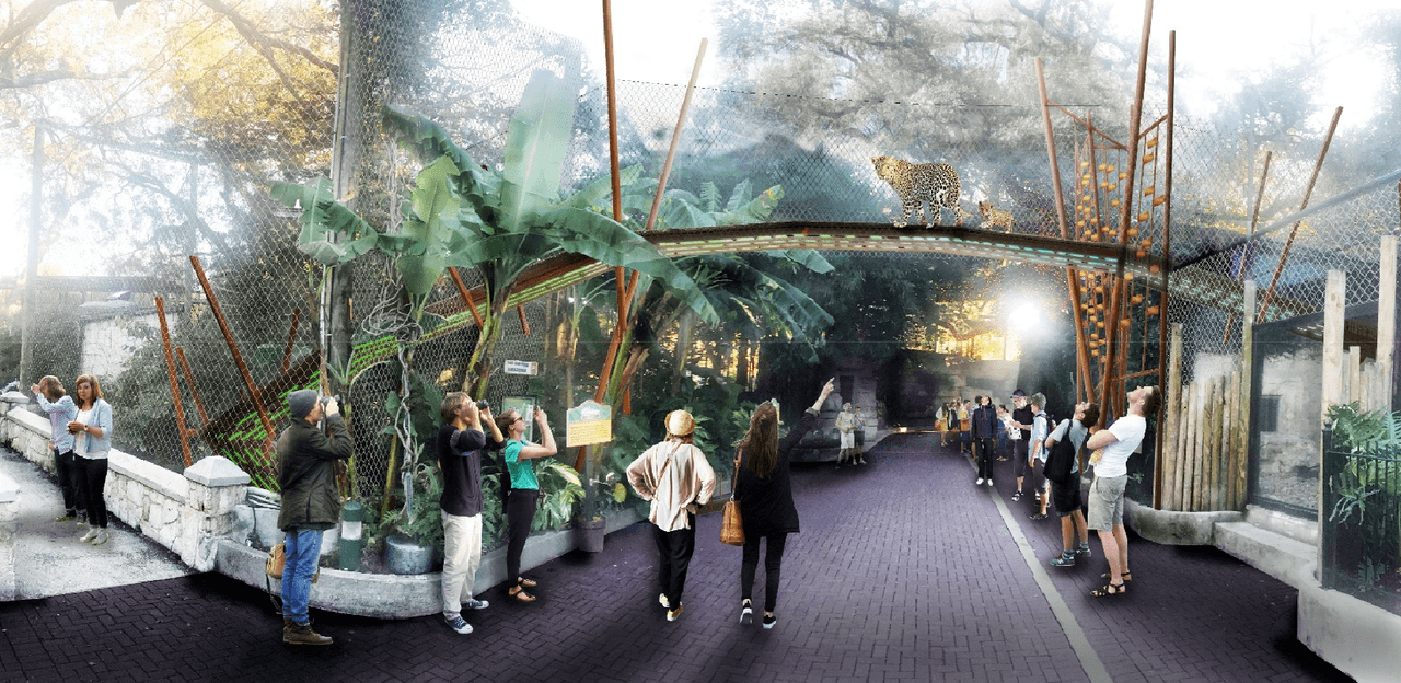 El zoológico de San Antonio abrió un 
<a href="https://www.facebook.com/SanAntonioZoo" target="_blank">nuevo hábitat único para los jaguares</a> que viven en sus instalaciones.