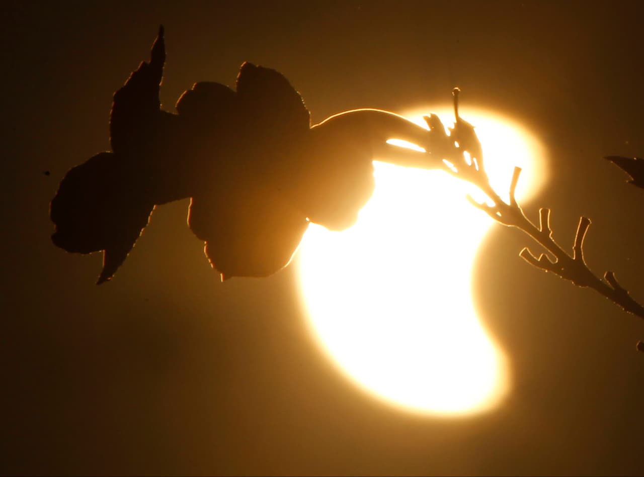 Vieron el eclipse solar en un vuelo de Alaska a Hawaii