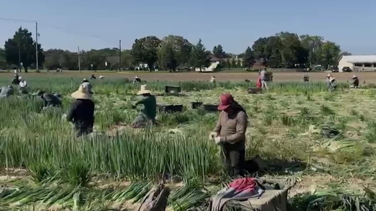 Documento federal genera temor en Filadelfia por posibles arrestos de ICE en residencias