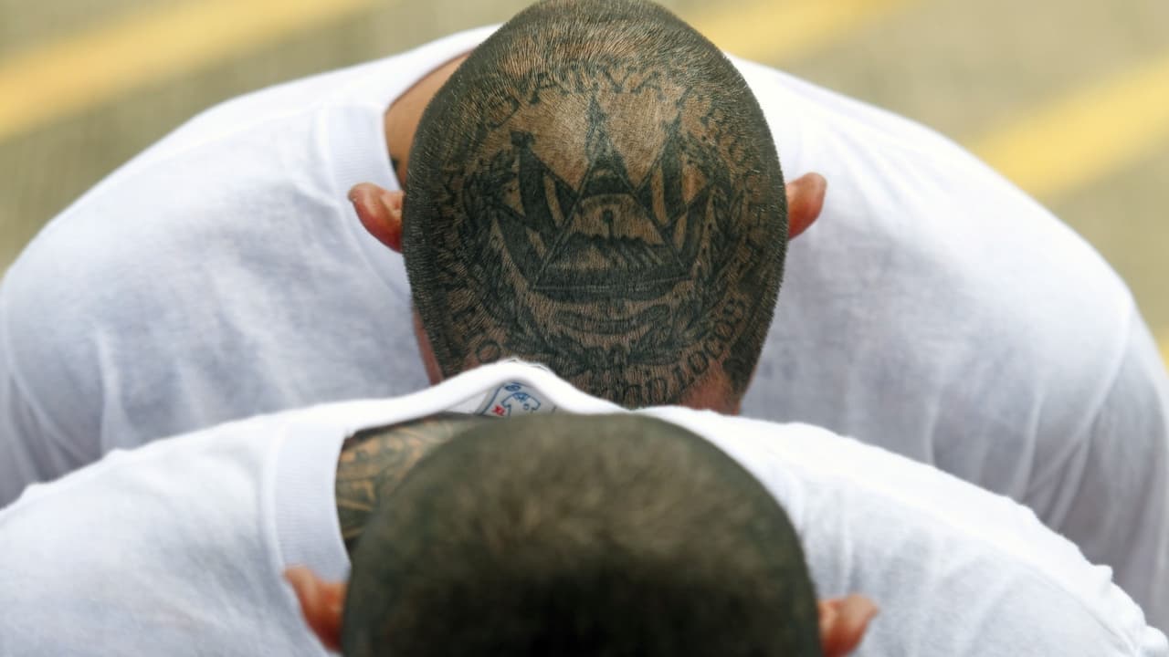 Arrestan a presuntos pandilleros de la MS-13 que buscaban"secuestrar" y "asesinar" a un joven