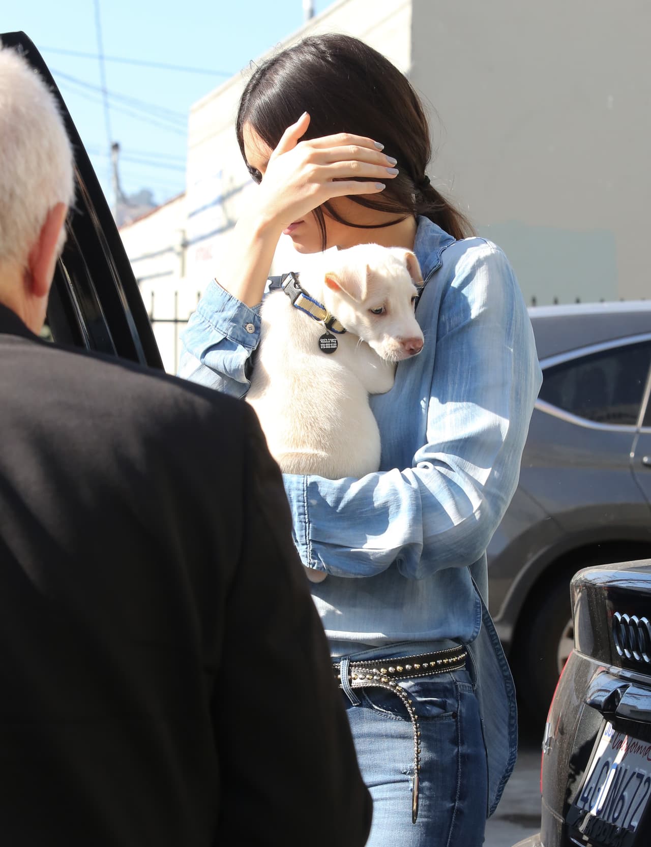¡Este perrito no sabe las aventuras que le esperan al lado de Kendall Jenner!