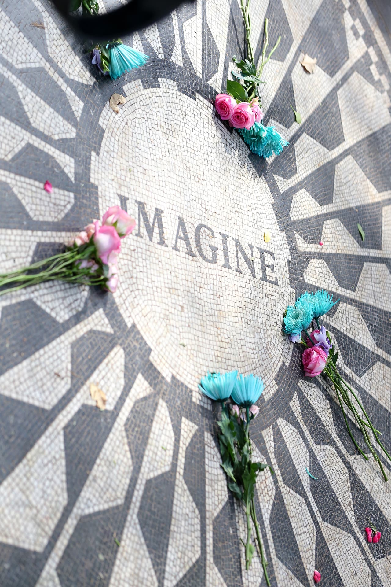 Así lucieron sus flores en el lugar.