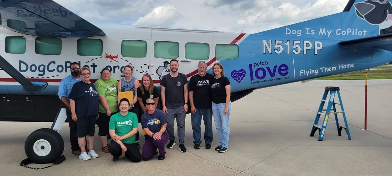 Ante la emergencia, PAWS Chicago puso en marcha una operación de rescate para ayudar a salvar a los animales afectados. El objetivo es brindarles seguridad, atención médica y una oportunidad para ser adoptados.