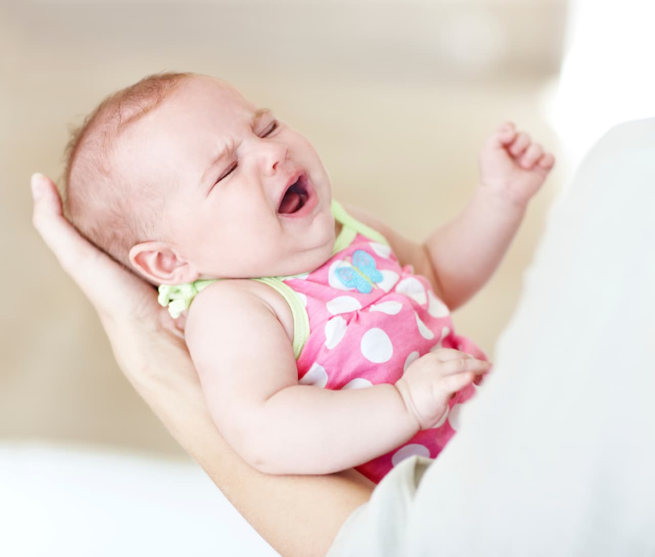 Pregúntate, además, si tu pequeño podrá funcionar con menos descanso. De no ser así, lleva una ‘portable crib’ y asegúrate que repose. Muchos pequeños pueden estar extremadamente agotados e irritables si no duermen lo suficiente, indicó la Dra. Christine Weber, neuropsicóloga clínica de Long Island.