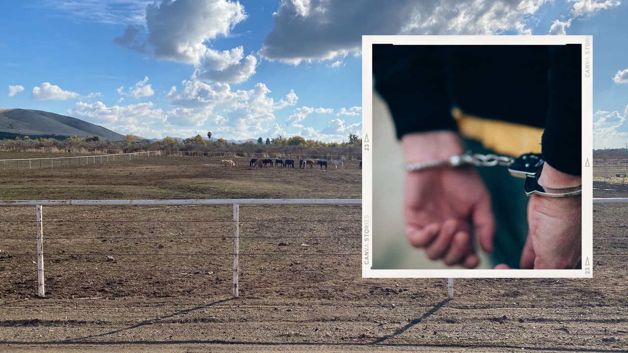 Arrestan a hombre que tenía decenas de caballos maltratados en un rancho de Tulare