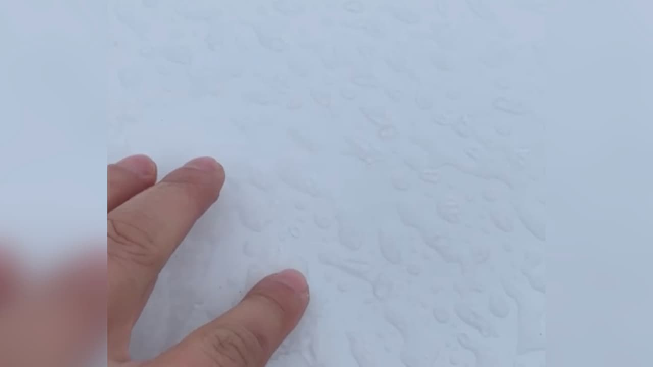 Muchos usuarios informaron a través de 
<a href="https://www.univision.com/local/houston-kxln/reportalo" target="_blank">Repórtalo</a> que la lluvia rápidamente se congelaba debido a las bajas temperaturas.