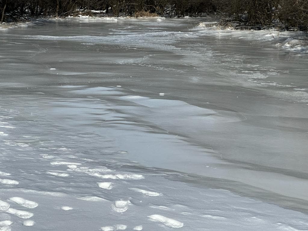 La temperatura en el suburbio subió este miércoles 17 de enero hasta los 17 grados.
