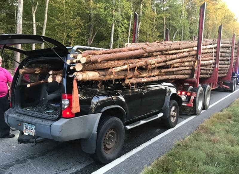 El auto fue atravesado de punta a punta por troncos e increíblemente el conductor salió vivo
