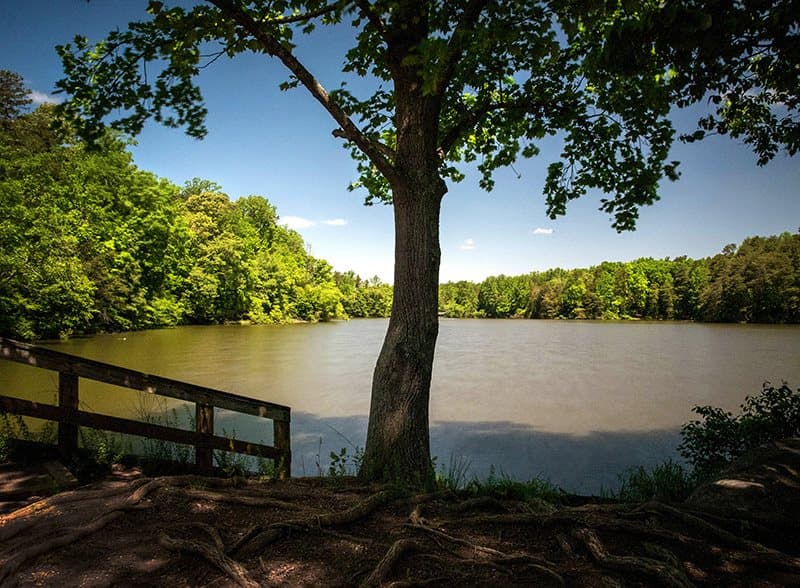 El lago se creó entre 1959 y 1964, cuando 
<b><a href="https://www.duke-energy.com/home" target="_blank">Duke Power Company</a></b> construyó la presa Cowans Ford al otro lado del río Catawba para generar energía eléctrica. La creación del lago llevó a una mayor industrialización del condado de Mecklenburg, lo que ayudó a establecer a 
<b>Charlotte</b> como un importante centro comercial.