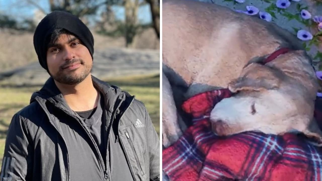 Gamer se "reencuentra" con su perrito muerto a través de realidad virtual