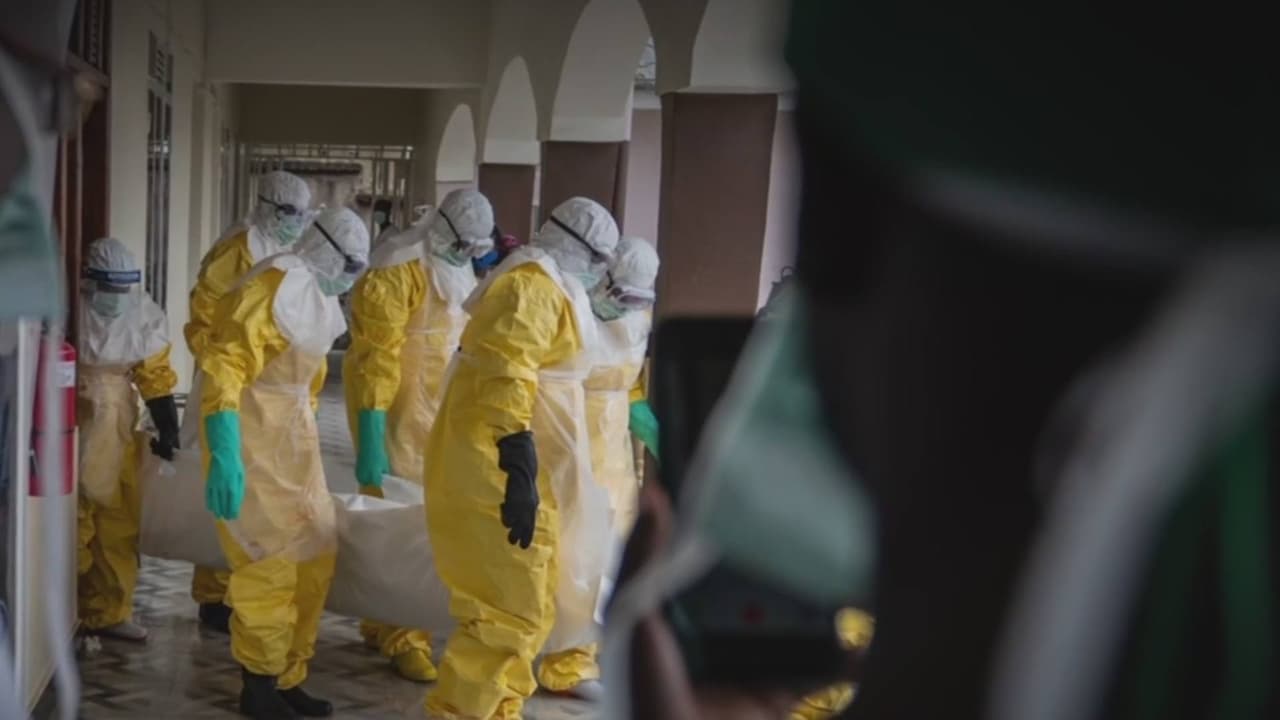 Ébola en el Congo | Médico estadounidense evacuado se siente impotente por falta de apoyo a colegas