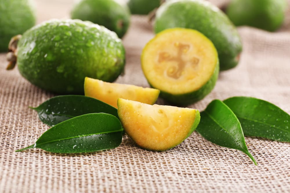 La fruta es baja en grasas y calorías, lo cual la convierte en una excelente opción para personas que desean reducir su peso. Pero además, las hojas de árbol de guayaba tienen bastantes beneficios para la salud, además de ser usados para uno que otro ritual esotérico.