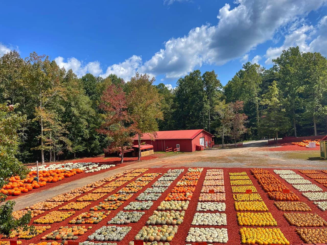 <b><a href="https://www.shopburtsfarm.com/">Burts Farm (Dawsonville)</a></b>. Esta granja de Dawsonville siempre tiene un gran lote de calabazas de varios colores como amarillo, blanco, naranja y verde. La entrada y el estacionamiento son gratuitos para el huerto de calabazas, pero considera tomar el paseo en carruaje en un paseo de dos millas a través del huerto y el bosque. Podrás echar un vistazo a Amicalola Falls al final del viaje.
<br>
<br>
<b><a href="https://goo.gl/maps/P89ToMmNnB64eGqv5">Cómo llegar</a></b>