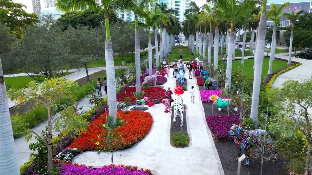 Ideas para celebrar San Valentín en el sur de Florida, gratis o sin gastar mucho dinero