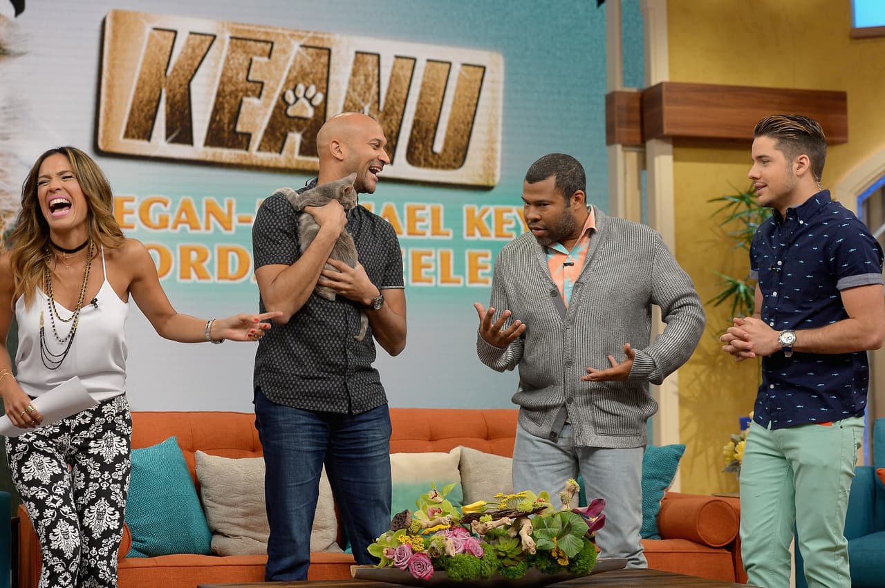 Tuvieron que aprender a trabajar con lindos gatitos.