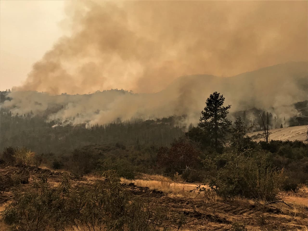 “Llegamos al puesto de comando de incidentes el domingo 13 de septiembre y nos registramos oficialmente en el incidente. A la mañana siguiente, nos asignaron a la División Víctor. Pasamos parte de la mañana realizando patrullas de carreteras y líneas de topadoras, asegurándonos de que el fuego permaneciera en las líneas de contención. Más tarde, se asignaron varios de los motores para ayudar a mantener la línea cuando un equipo de King River realizó un operativo de quemado de 5,000 acres (prendiendo fuego dentro de una línea de control para ensancharla o consumir combustible entre el borde del fuego y la línea de control).”