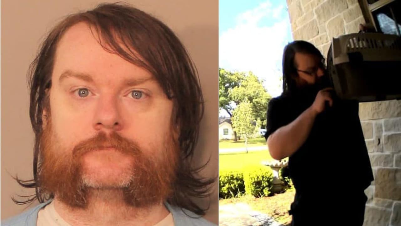 Sentencian a cuatro años de prisión a un exprofesor de Fort Bend ISD por torturar a sus gatitos 