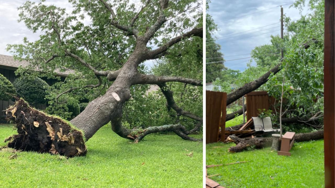 Árboles caídos y cierre de vías son los daños, tras el paso de tormentas en el Metroplex