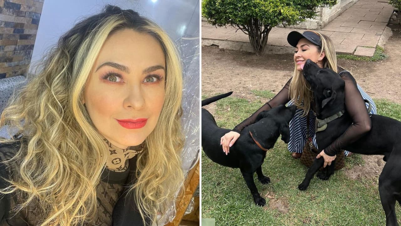 Aracely Arámbula es una verdadera amante de los perros: tiene 18 y siempre busca ayudar a más