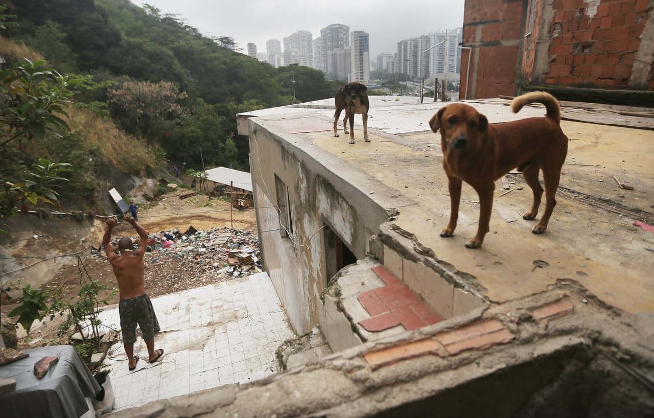 Las personas contraen equincocosis, una enfermedad parasitaria grave provocada por gusanos, cuando ingieren alimentos contaminados por larvas presentes en las heces de los perros y otros animales.