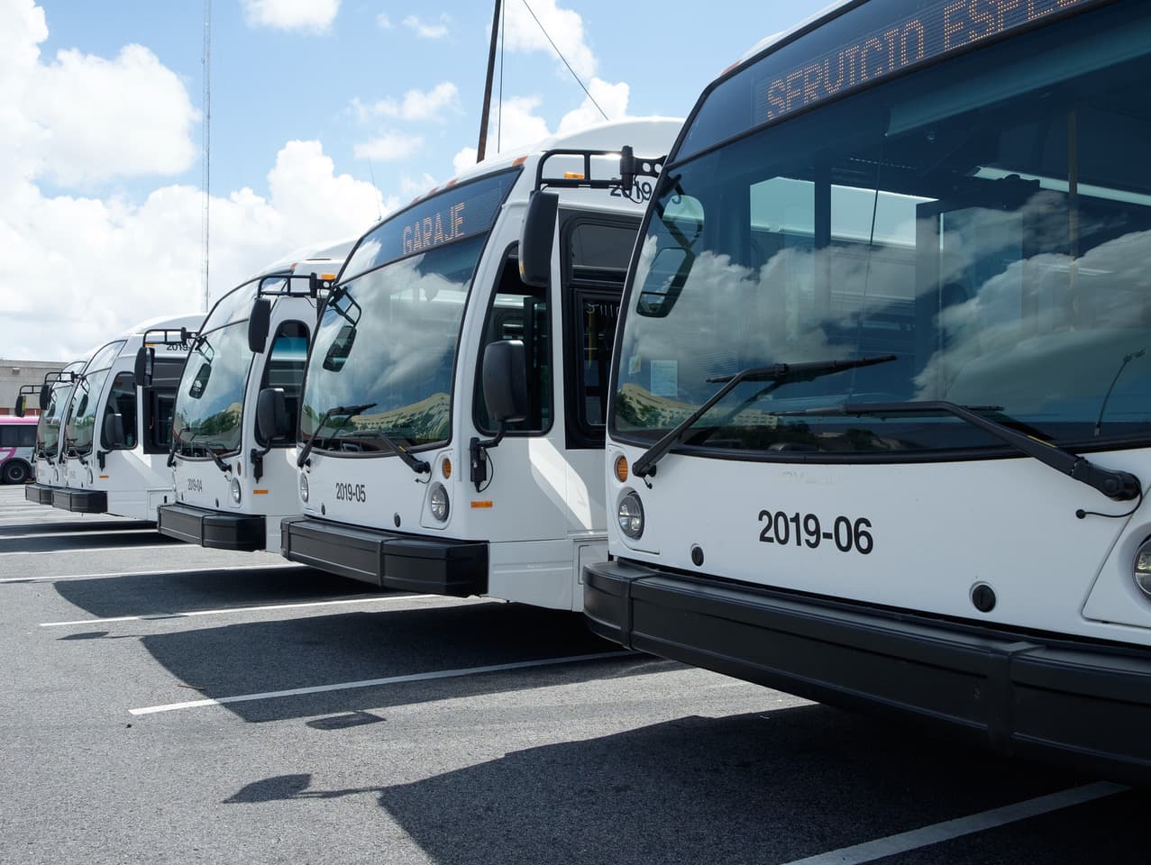 Denuncian que reapertura de la AMA no cumple con los protocolos de desinfección