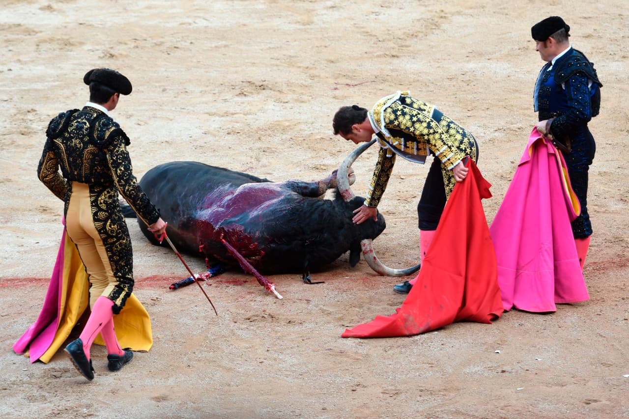 Luego de los encierros, en la plaza muchos toros mueren a manos del matador. Por ello, desde hace 8 años, cada año se celebran protestas en víspera del evento donde se pide el cierre del ritual. Se trata de personas semidesnudas, cubiertas por pintura roja que simula ser sangre y con banderillas adheridas a la espalda, se tumban sobre las aceras de la ciudad para denunciar lo que ellos llaman una tradición cruel.
<br>Fotografía del
<b> 10 de julio de 2017</b> /ANDER GILLENEA/ AFP/ Getty