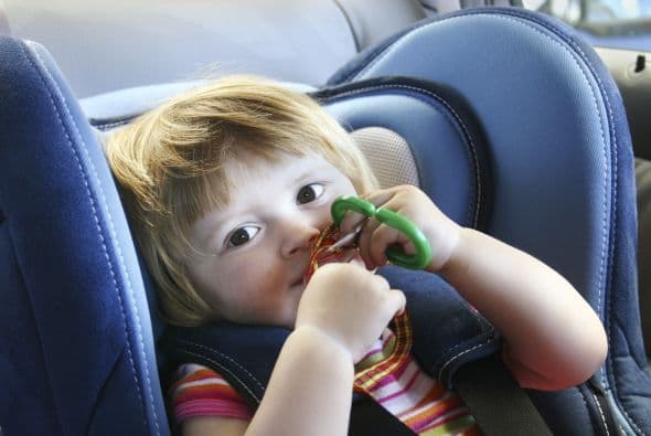 También, lleva su música preferida ¡y anímalo a cantar en el viaje!