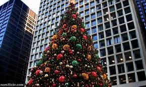 En busca del árbol de Navidad de Chicago y cambio de lugar