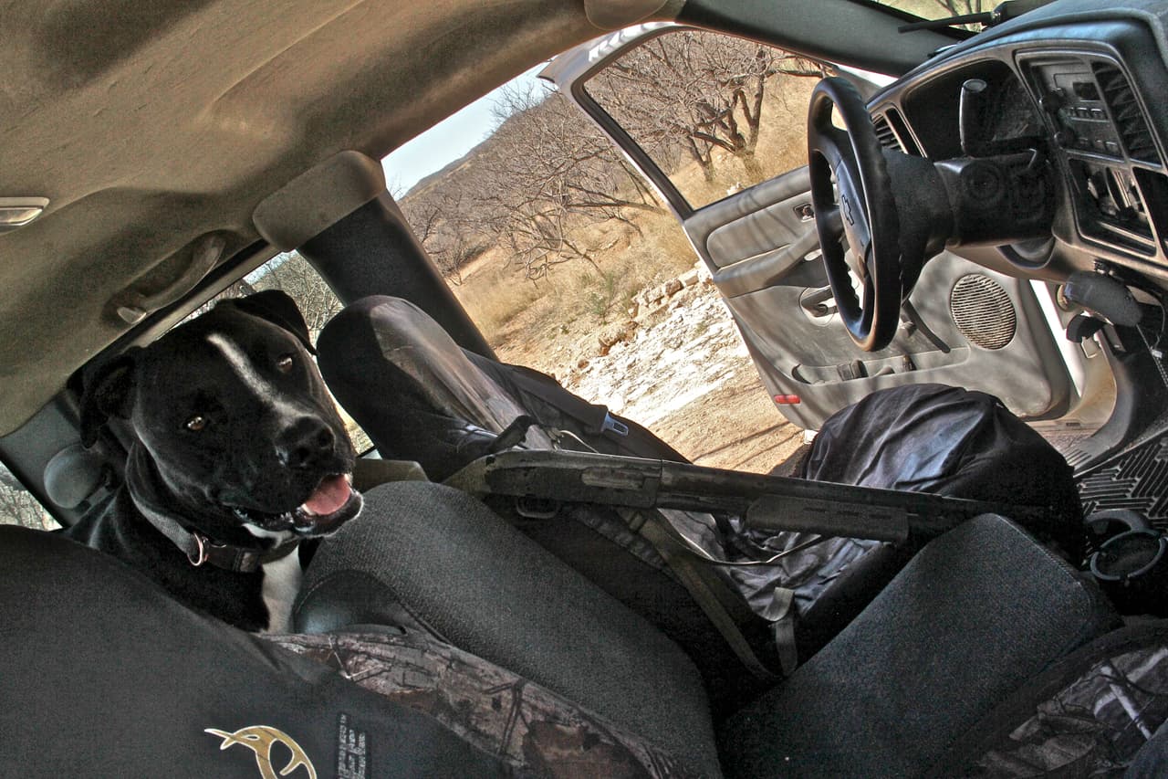 Según Foley, 90% de los patrullajes los hace solo junto con su perro Roko y su rifle.