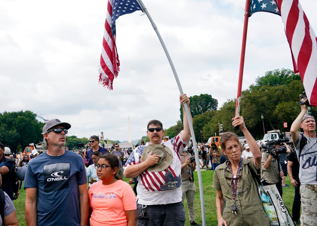 Matt Braynard, director ejecutivo de Look Ahead America y organizador del evento, escribió en Twitter que esperaba "un evento 100% pacífico en apoyo de los delincuentes no violentos ... que han sido acusados".