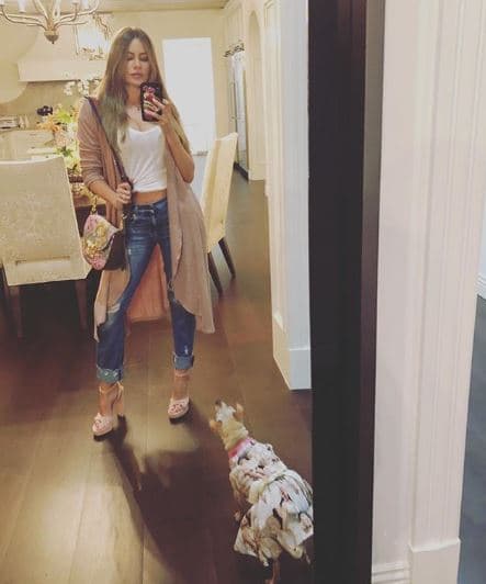 La respuesta de la actriz recibió diversos elogios de sus seguidores, aunque días después Sofía decidió eliminar su propio comentario.